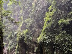 -蝶舞清江·恩施地心谷景区