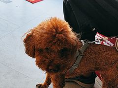 -纳吉亚猫专科动物医院·北北分院