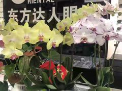 -横岗眼镜城