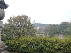 -溪口-滕头旅游景区