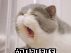 -特派卷·老北京烤鸭卷(合生汇购物中心店)