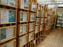 -恩格贝生态旅游区