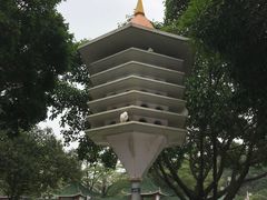 -顺峰山公园