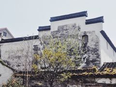 -东梓关景区村庄
