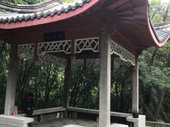 -菊花台公园