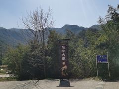 -芦茨金富饭庄·25年老字号·专做稻草鸡