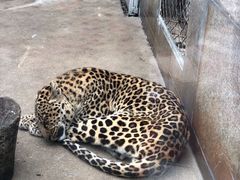 -西安秦岭野生动物园