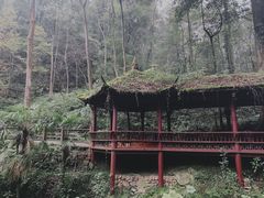 -青城山