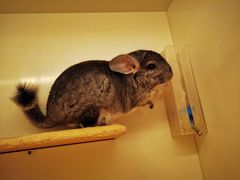 -龙猫仔乐园(惠福东路店)