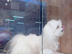 -FAELING PETS美天灵宠物(富力广场店)