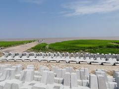-南汇嘴观海公园
