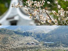 -广东天露山旅游度假区