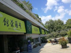 -青藤茶馆(南山路店)