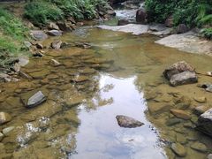 -广州白江湖森林公园