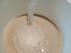 法式奶霜红茶-CoCo都可(恒隆456店)
