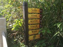 -洋山深水港