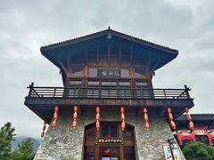 -大唐贡茶院