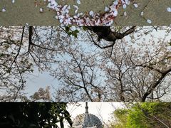 -凤凰沟景区