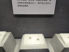 -烟台市博物馆