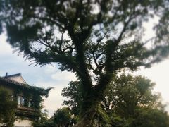 -杭州西湖柳莺里酒店·闻莺厅