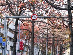 -烈士陵园(地铁站)