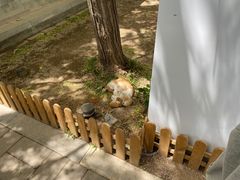 -有喜胶东小馆(超极合生汇太申祥和店)