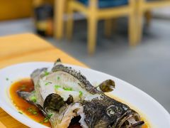 清蒸石斑鱼-金家港海鲜大排档(中山路店)