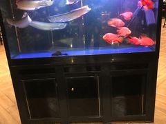 -海天楼中餐厅(吴宫泛太平洋酒店)