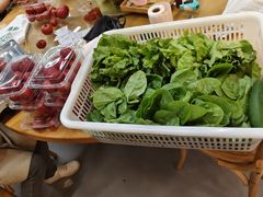 -素清香(解放路店)
