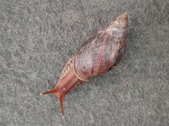 -凤翔首邑温泉度假村