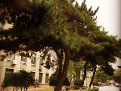 -辽宁大学(崇山校区)