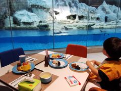 -帝企鹅自助餐厅•儿童岛•真企鹅(长隆企鹅酒店)