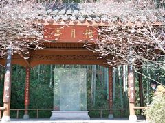 -杭州植物园