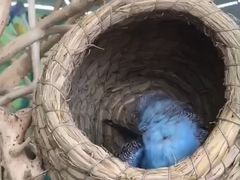 -昆明大悦城未来动物城(螺蛳湾中心店)