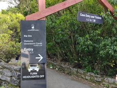 -怀托摩萤火虫洞