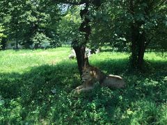 -西安秦岭野生动物园