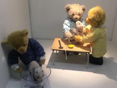 iphone_upload_pic-成都泰迪熊博物馆