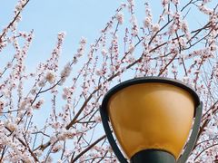 -玲珑塔公园