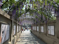 -天津意大利风情旅游区
