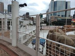 -九龙公园