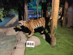 -吉林省自然博物馆