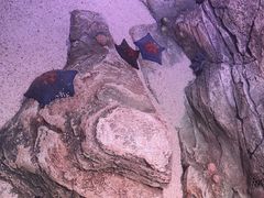 -沈阳海洋探索中心