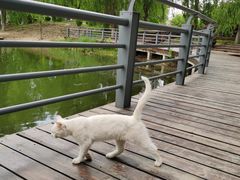 -大兴滨河森林公园