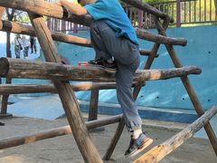 -西部长青自然儿童乐园