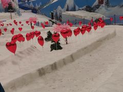 -湘江欢乐城欢乐雪域