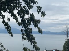 -湖景渔湾