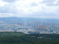 -长虫山生态公园风景林