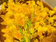 -滇铺子·云南特色菜·第九届野生菌美食节(东风东路c86店)
