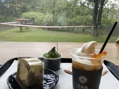 -雪绿茶博物馆