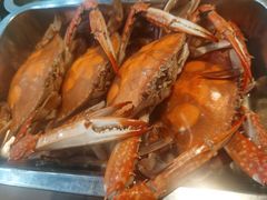 -胶东海鲜大排档(北太平庄店)